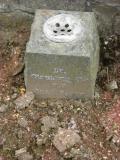 image of grave number 148552